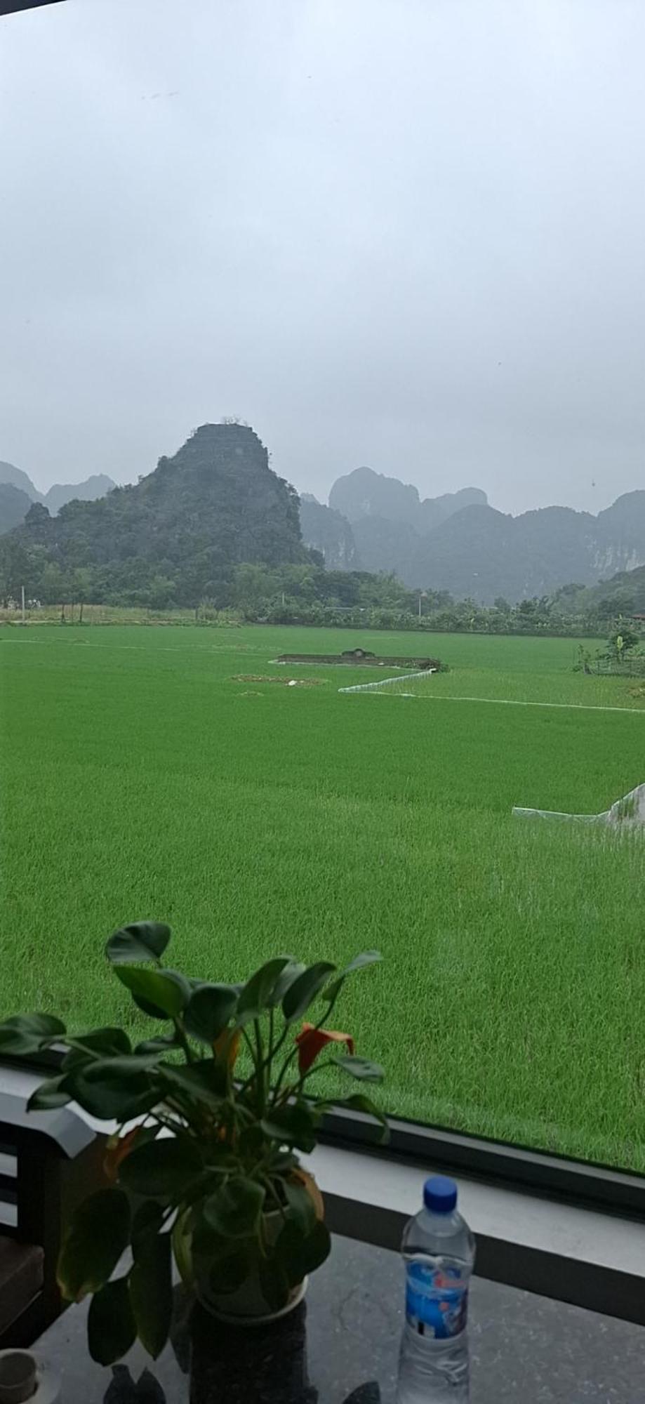 نينه بينه Trang An Rice Field Homestay المظهر الخارجي الصورة